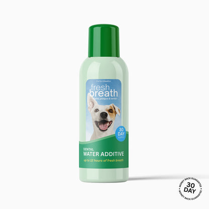 Dental Water - Daily Oral Support