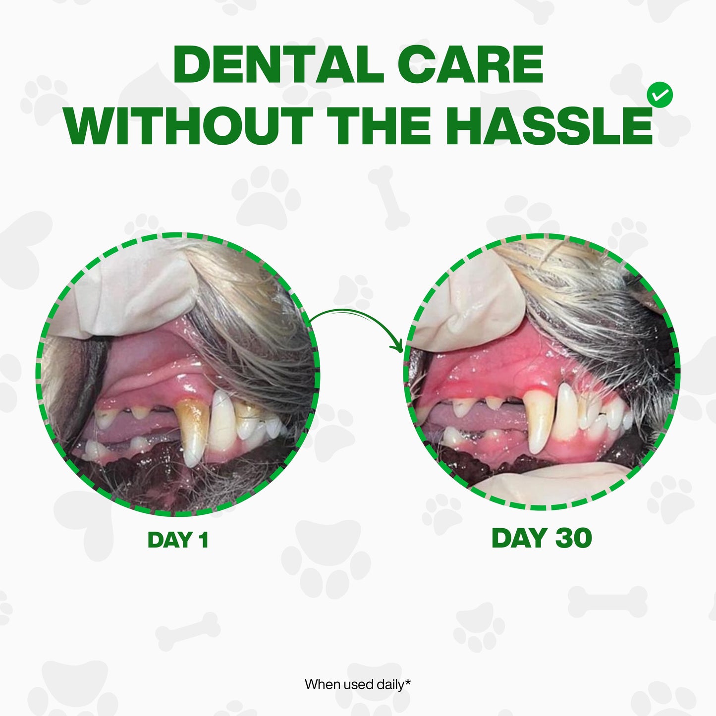 Dental Water - Daily Oral Support