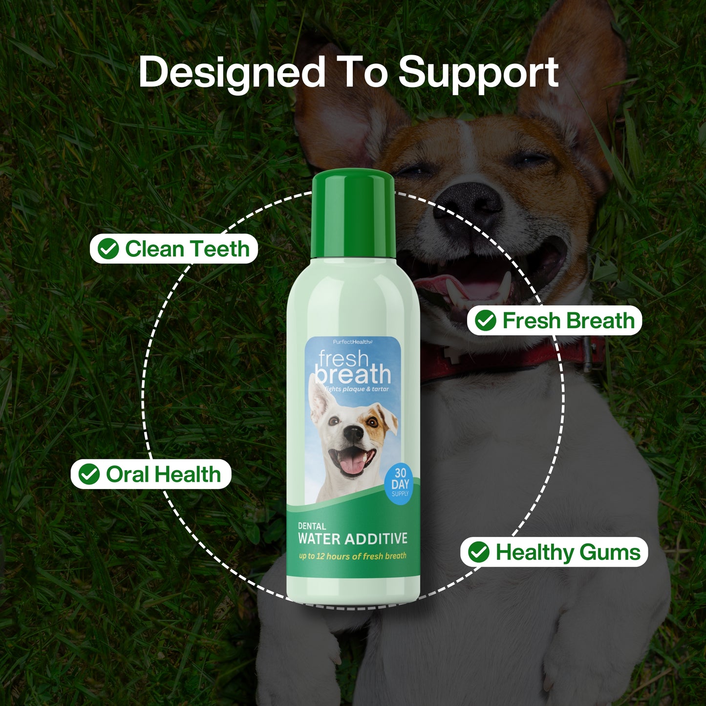 Dental Water - Daily Oral Support