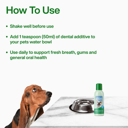 Dental Water - Daily Oral Support