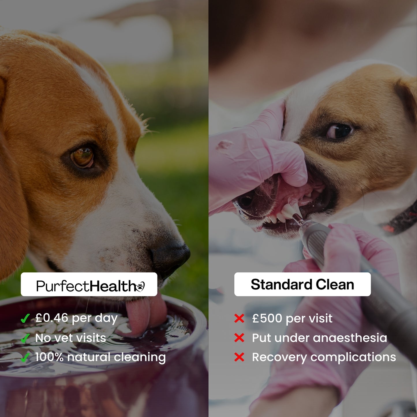 Dental Water - Daily Oral Support